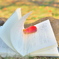 読書の秋