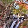 尼ん滝の紅葉
