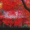 気分は秋の京都（その2）