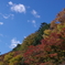 秋天紅葉