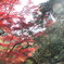 箕面公園