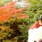 恋紅葉