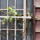 PICT0007