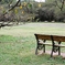 PICT0021