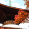 紅葉と水彩画