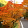 gradation