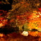 永観堂の紅葉