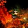 永観堂の紅葉