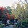 紅葉４