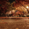 November