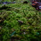 DSC09476