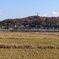 紅葉の山を背に・・・その１