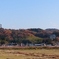 紅葉の山を背に・・・その２
