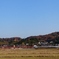 紅葉の山を背に・・・その３