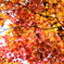 神社の紅葉