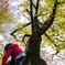 「A girl is climbing the tree.」
