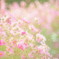 遅刻です・・・（６days before）