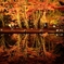逆さ紅葉の定番