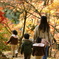 紅葉狩り