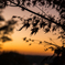 晩秋の夕景