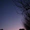 師走の月夜