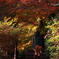 紅葉路を散策