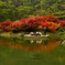 和船と紅葉