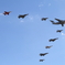異機種編隊　岐阜航空祭