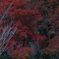 大窪寺３