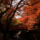 DSC04185