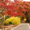 DSC04269
