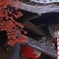 平林寺2014