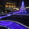 DSCF0316