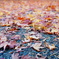 DSC09514