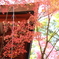 御霊神社