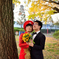 イチョウを見上げる新婚さん