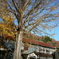 昭和村 旧喰丸小学校　