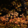 まだ紅く