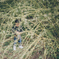 Hide and seek