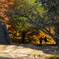 苗木城跡の紅葉