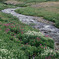Creek