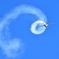 Red Bull Extra 300S (17)