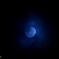 blue Moon