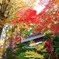 秋　紅葉のお堂