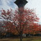 DSCF0249
