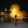 DSCN0647