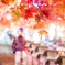 大山の紅葉2