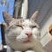 ほっこり