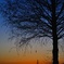 夕焼け