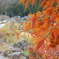 DSCN0497